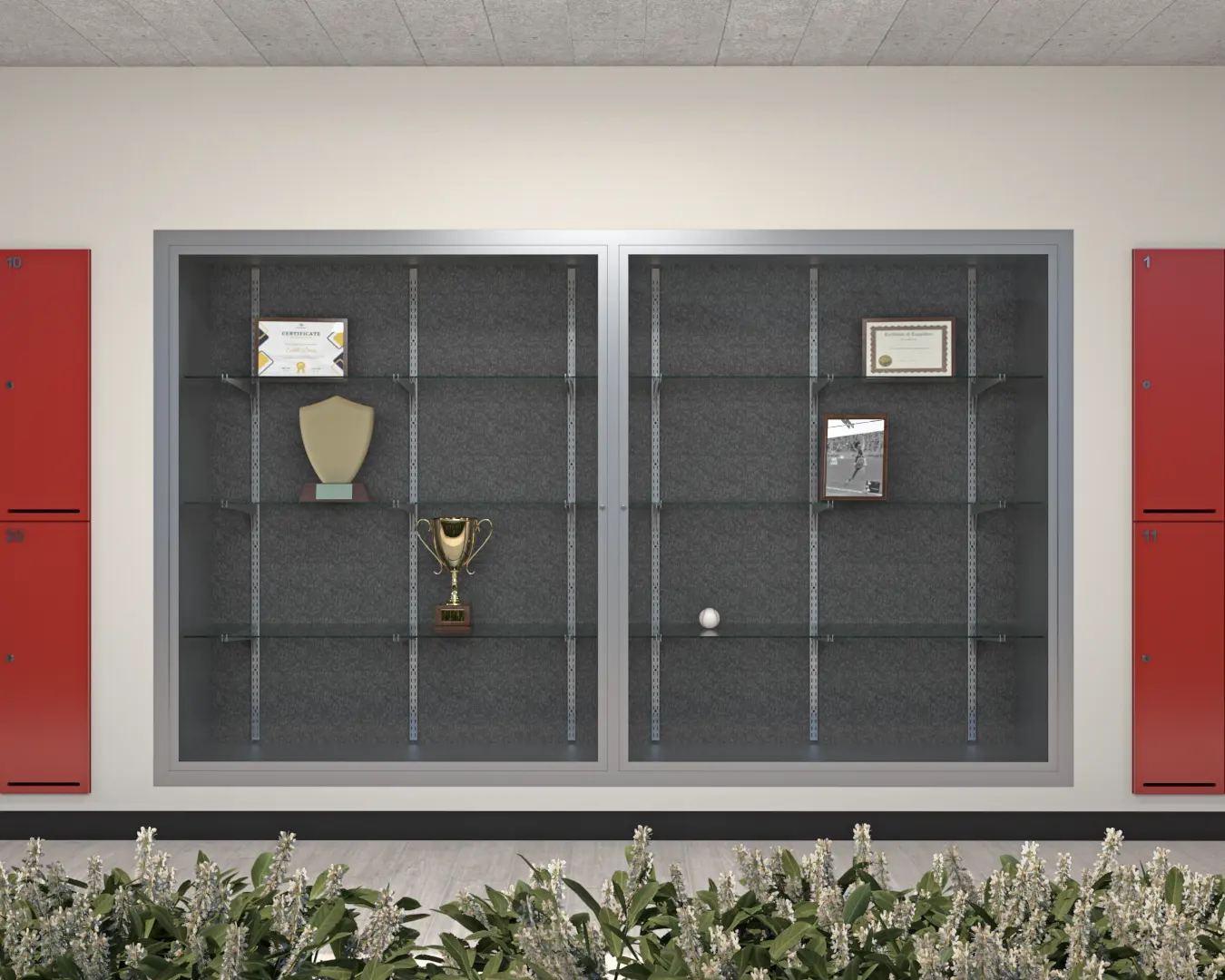 Hinged Display Cases view 2
